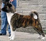 Crown Royal's Follow Me ROM