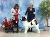 GCH MaJer's Vegas Showgirl O' Ali'i AK Inu ROM
