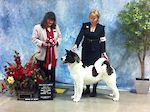 GCH MaJer's Vegas Showgirl O' Ali'i AK Inu ROM